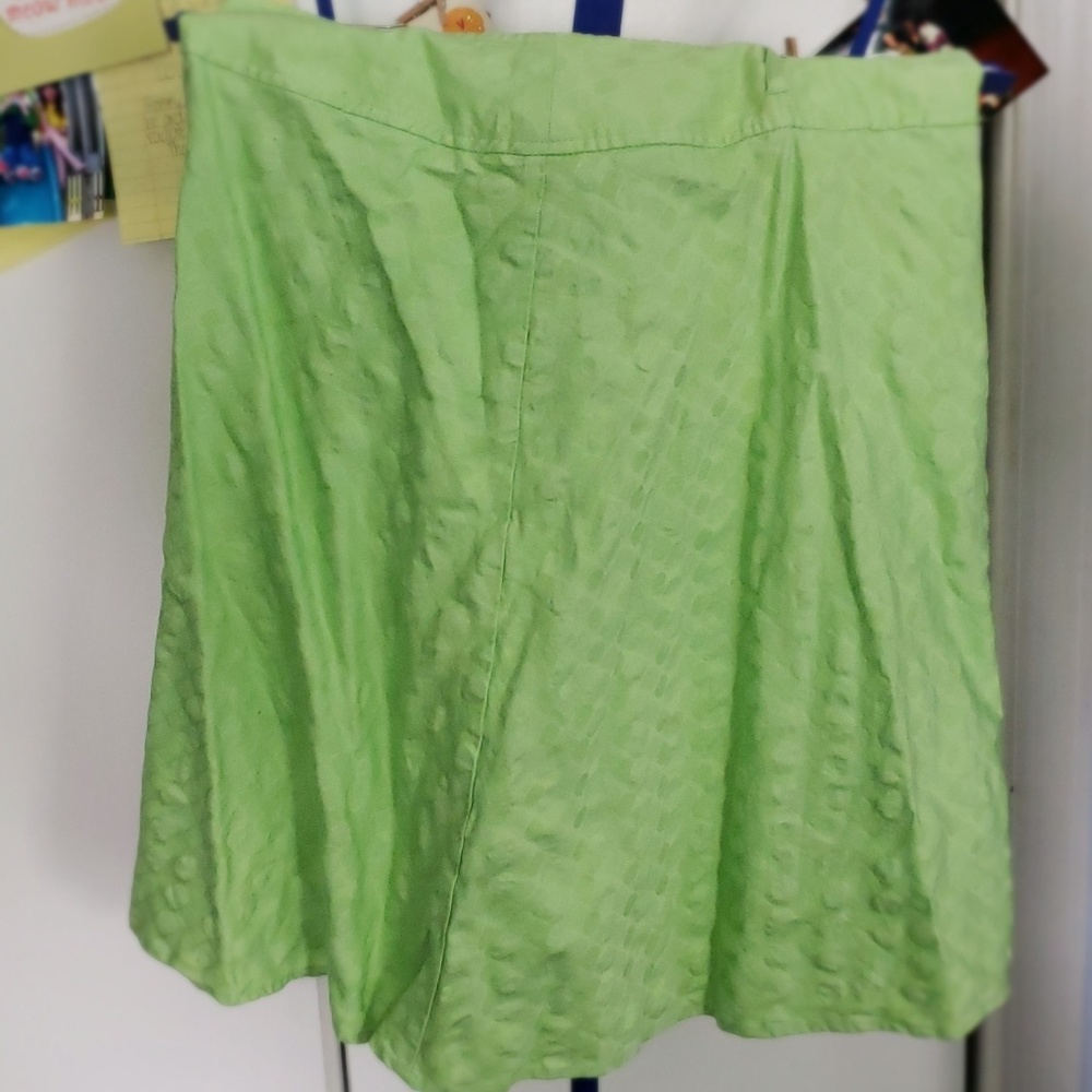 Ingredients light green skirt